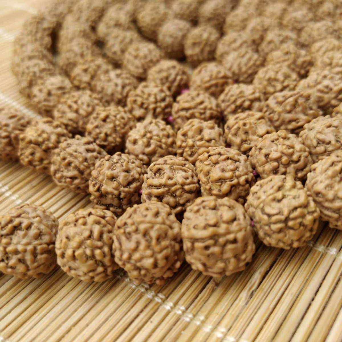 6 Mukhi Rudraksha Mala Beads